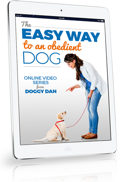 the easy way to an obedient dog