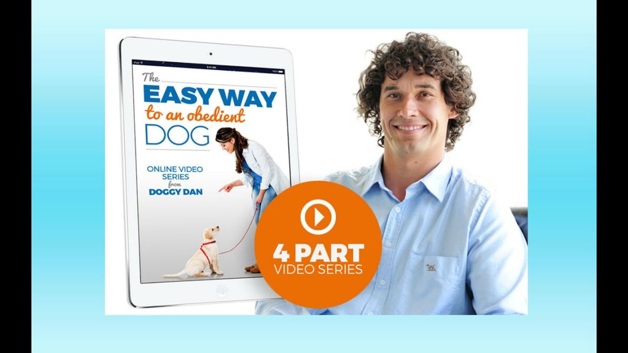 easy way to an obedient dog free video course